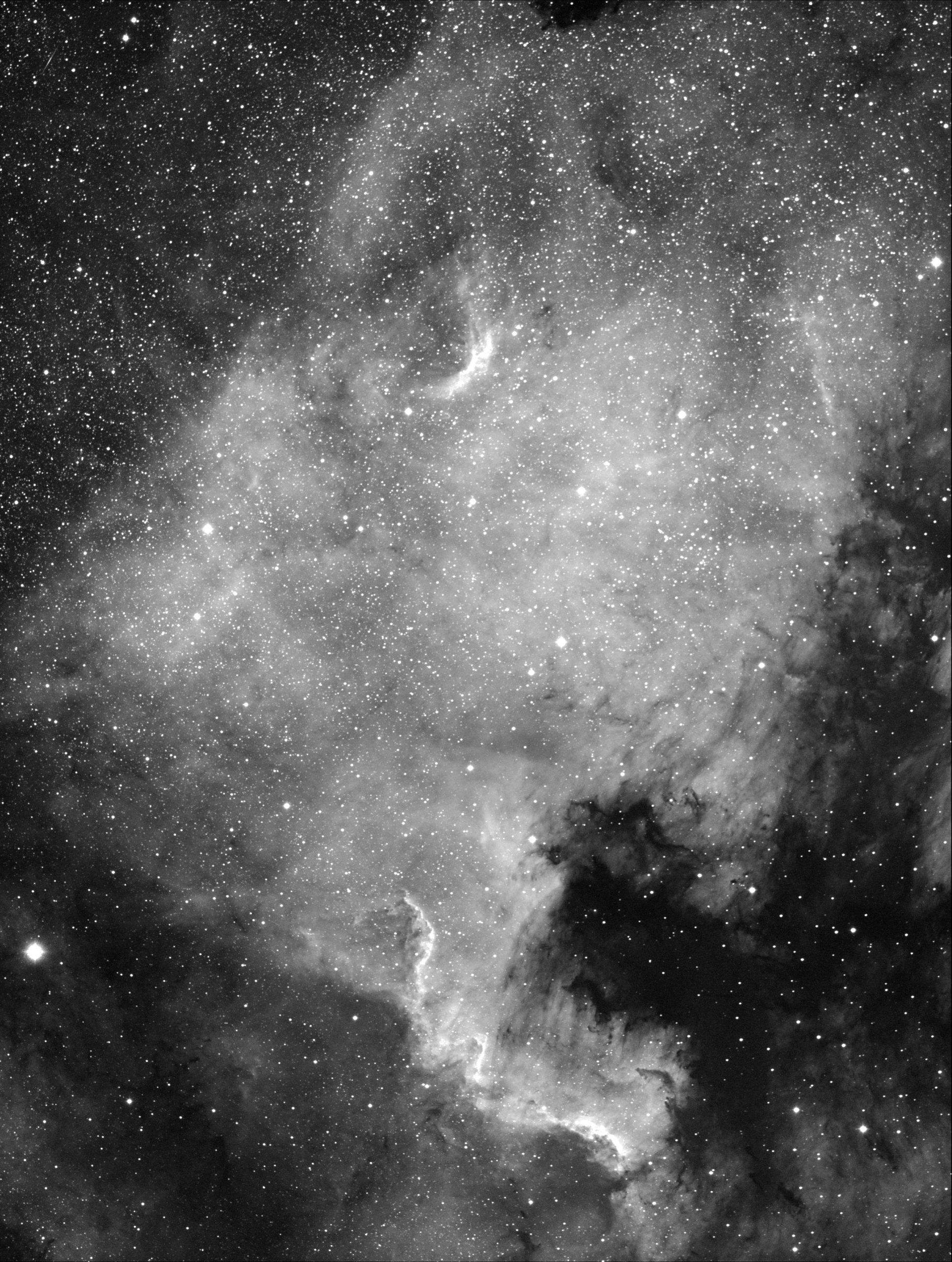 NGC7000 Ha