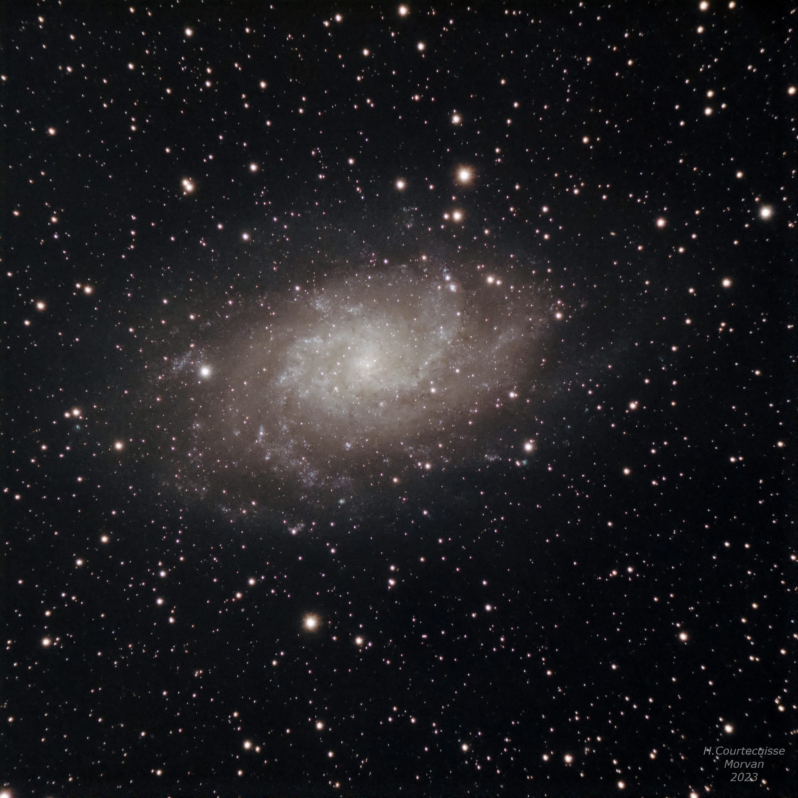 M33, galaxie du Triangle, le 14/09/2023 (Morvan)