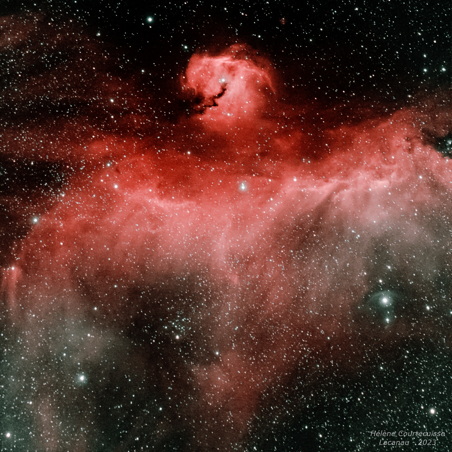 IC 2177, nébuleuse de la Mouette, le 12/02/2023 (Lacanau)