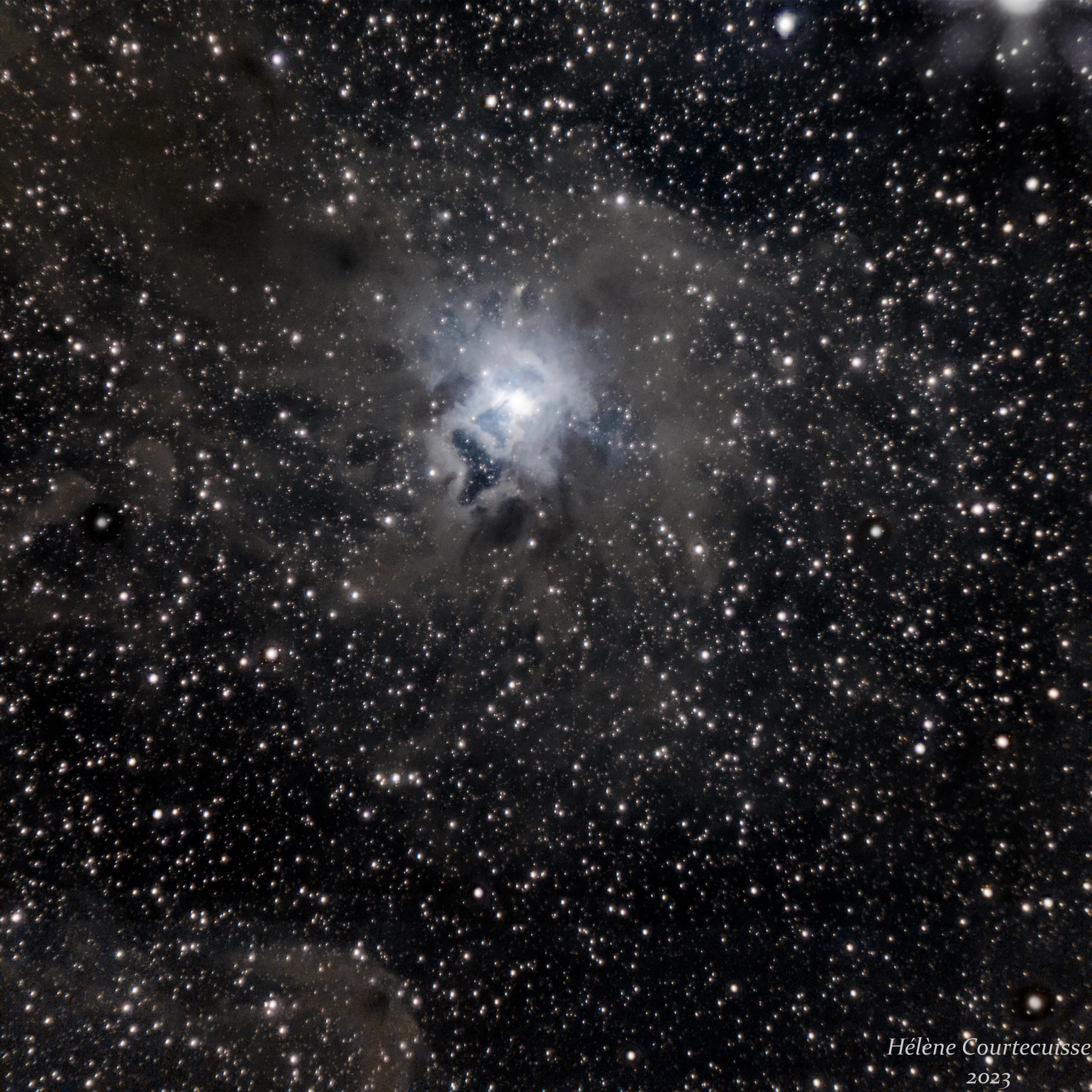 NGC 7023, nébuleuse de l’Iris, aout 2023 (Lacanau)