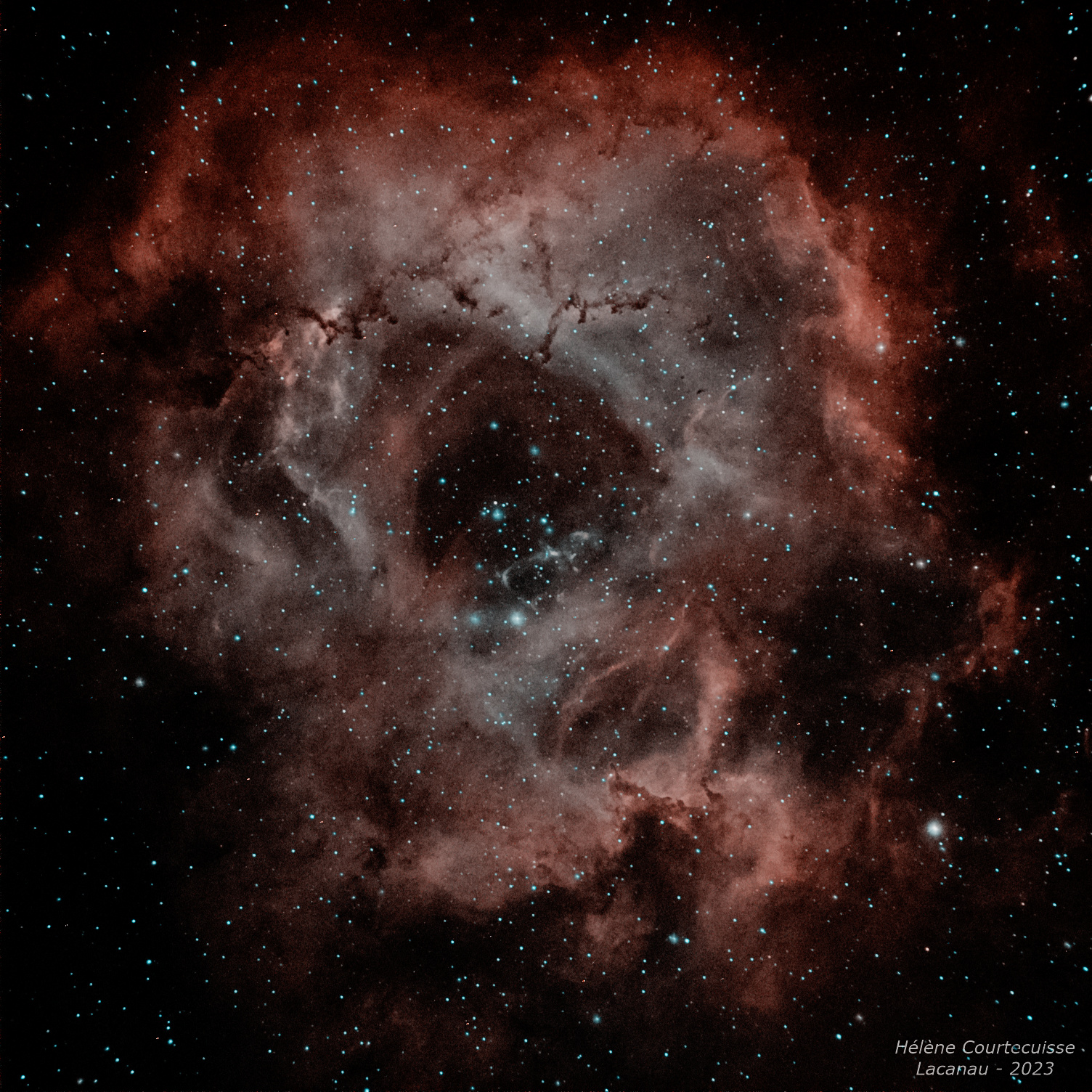 NGC 2237, nébuleuse de la Rosette, le 7/02/2023 (Lacanau)